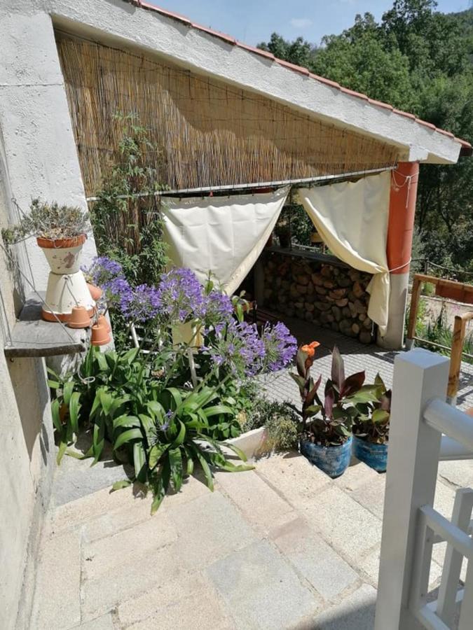 Mystay - Quinta Do Tendeiro Guarda Exteriér fotografie