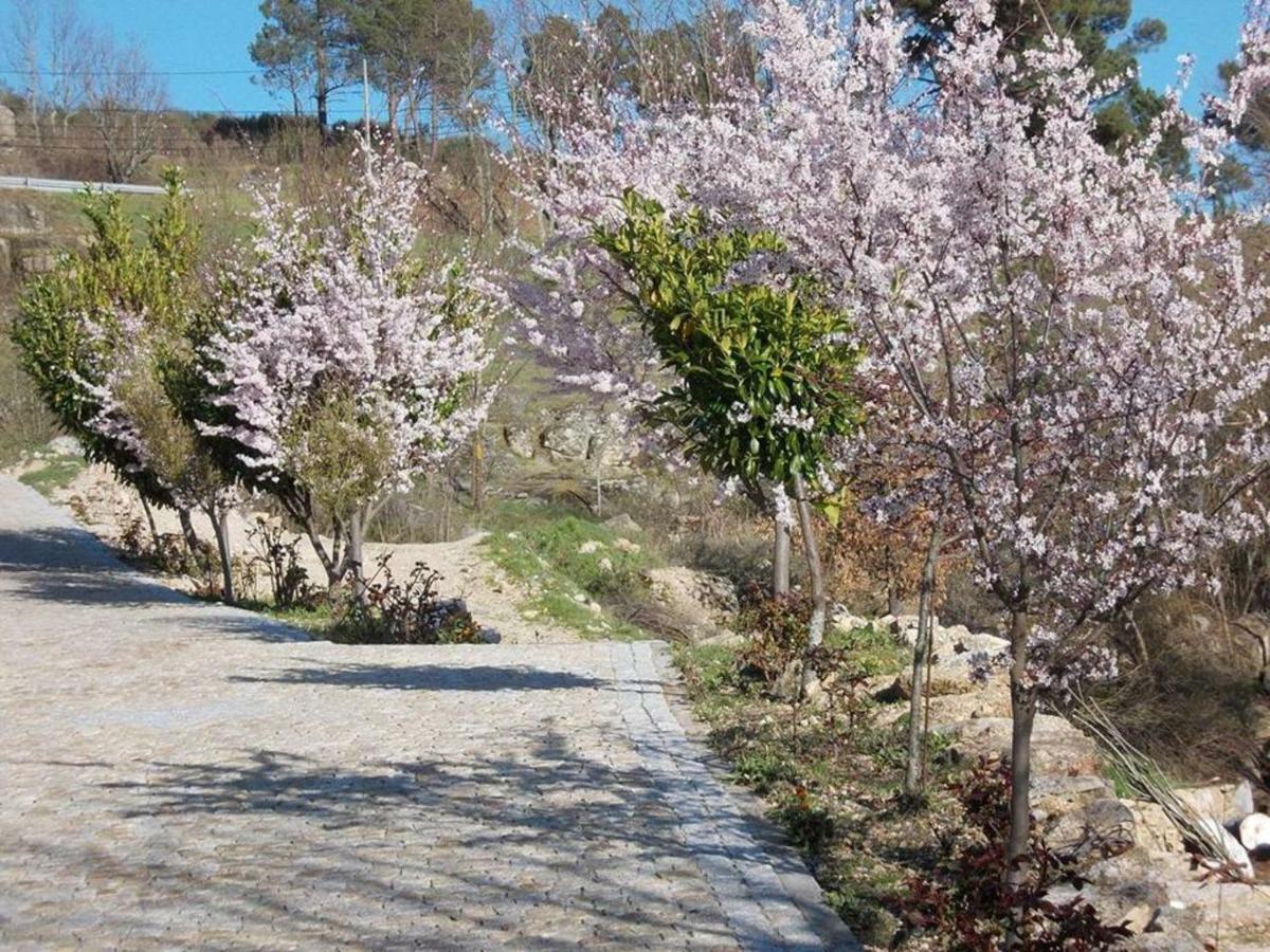 Mystay - Quinta Do Tendeiro Guarda Exteriér fotografie